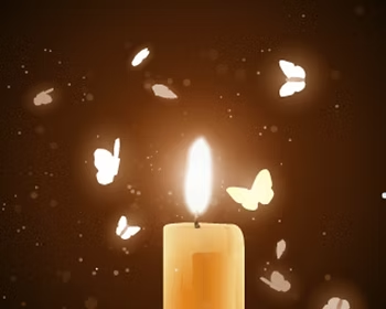 Like a moth to a flame, Liberty Mutual is addicted to telemarketing